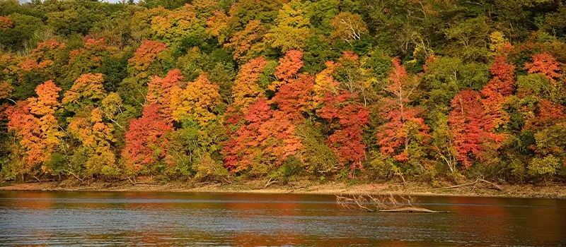 rural-wisconsin-northwoods